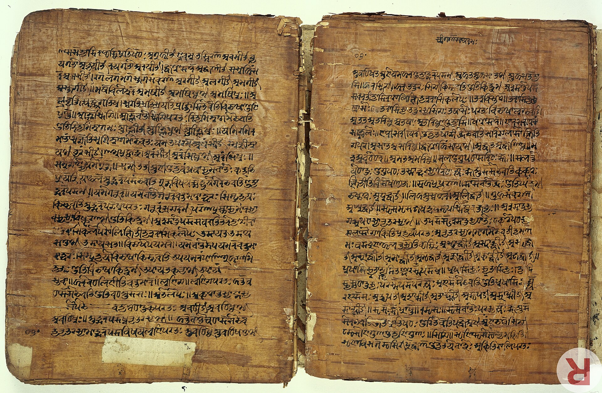 Birch-bark manuscript from Kashmir of the Rūpāvatāra, a Sanskrit grammar